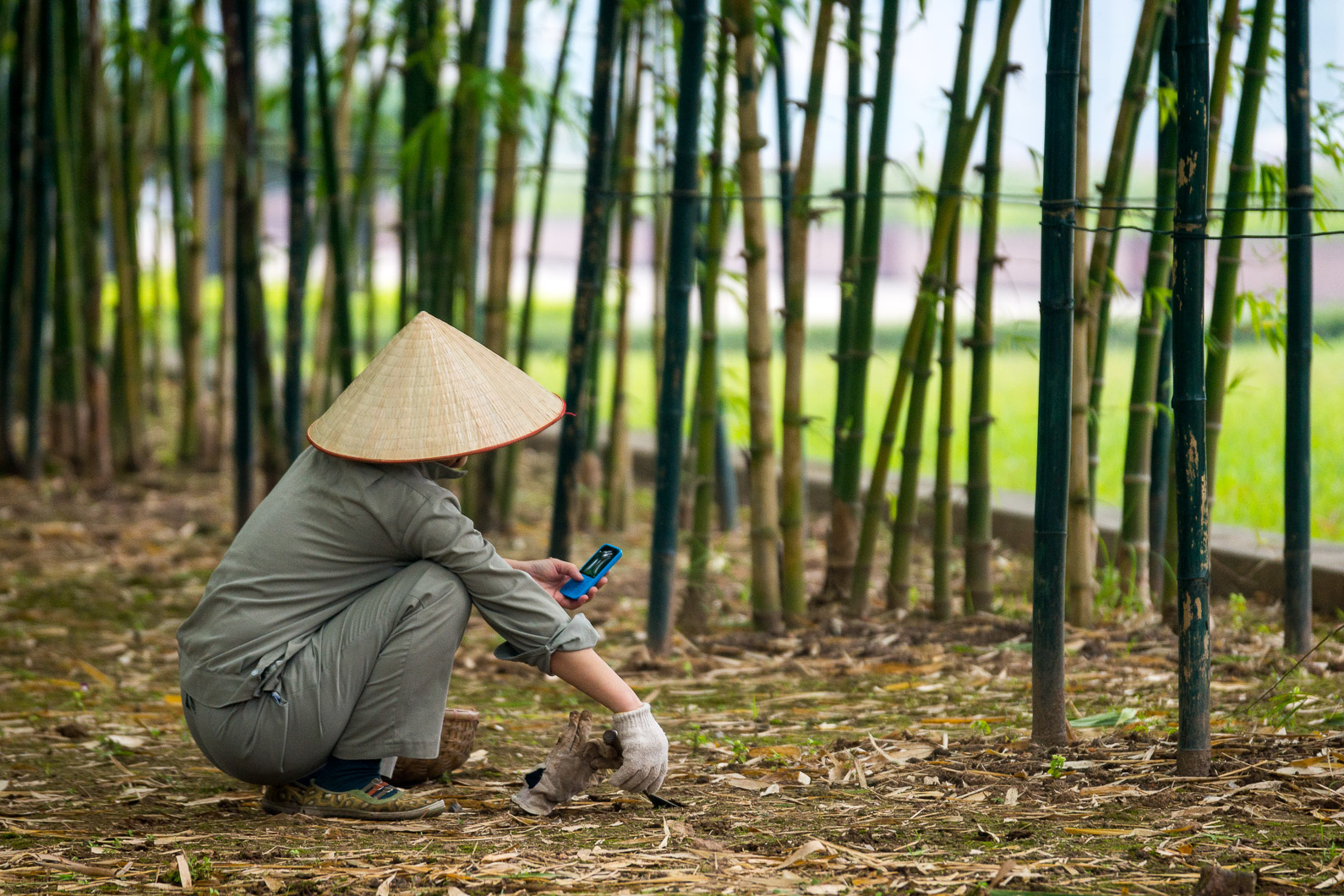 20141105 093313 Nähe Ho Chi Minh Mausoleum